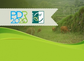 candidaturas das furnas